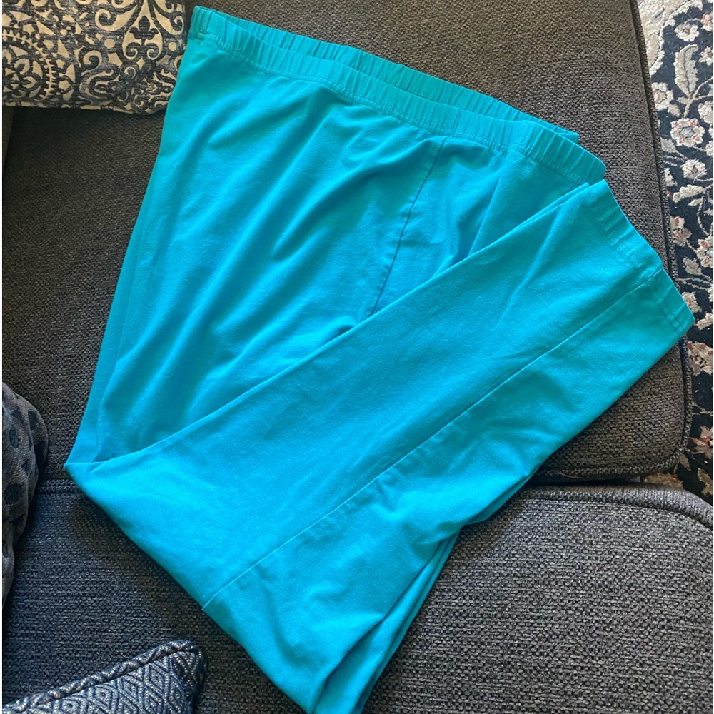 Woman within teal pants. Size 2X.